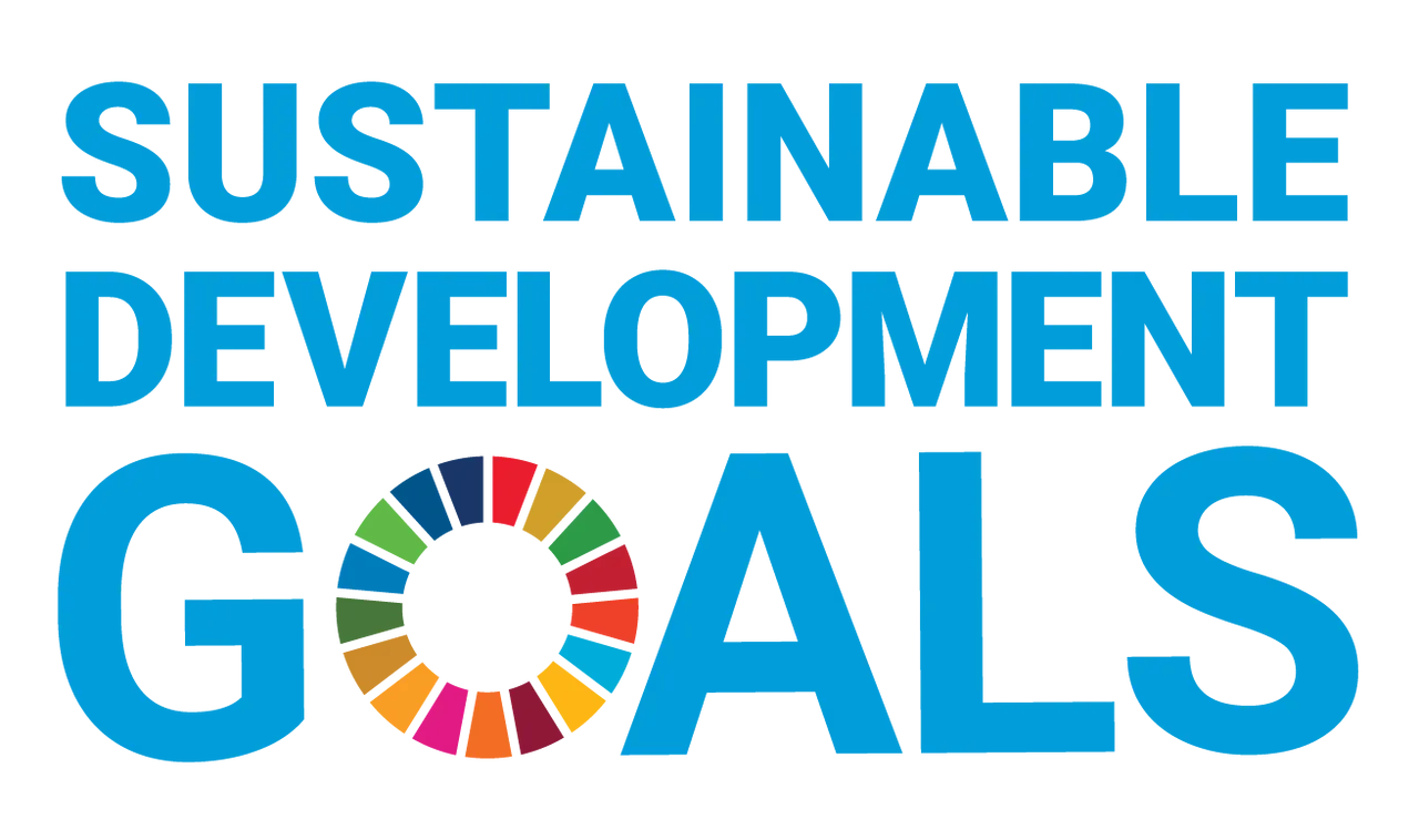 UN SDG 17